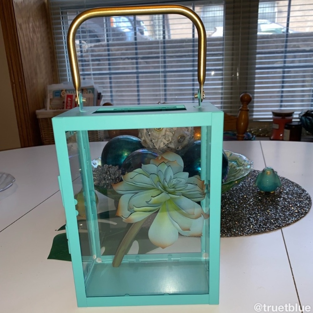 🆕 Teal Box Lantern Terrarium